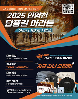 2025 안양천 단풍길 마라톤 .