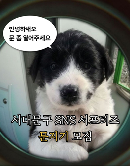 2026 서대문구 SNS 서포터즈 모집