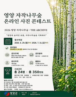 2026년 영양자작나무숲 온라인 사진 콘테스트.
