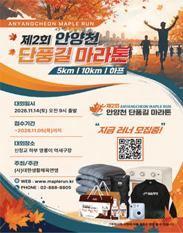 제2회 안양천 단풍길 마라톤.