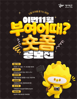 이번 11월 부여 어때 숏폼 공모전.